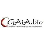 Ristorante e pizzeria biologici a Roma: Gaia.bio